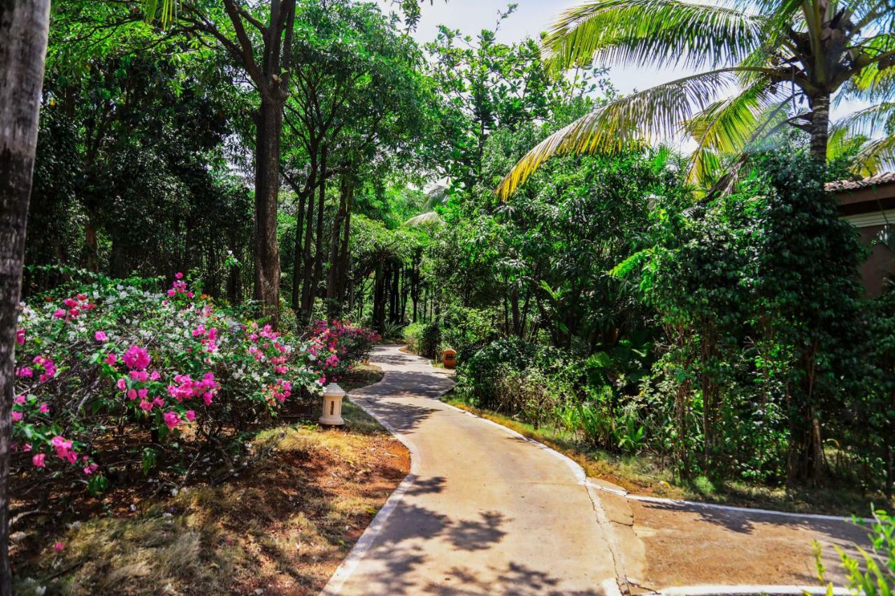 Blue Ocean The Fern Resort & Spa Ganpatipule Exterior foto